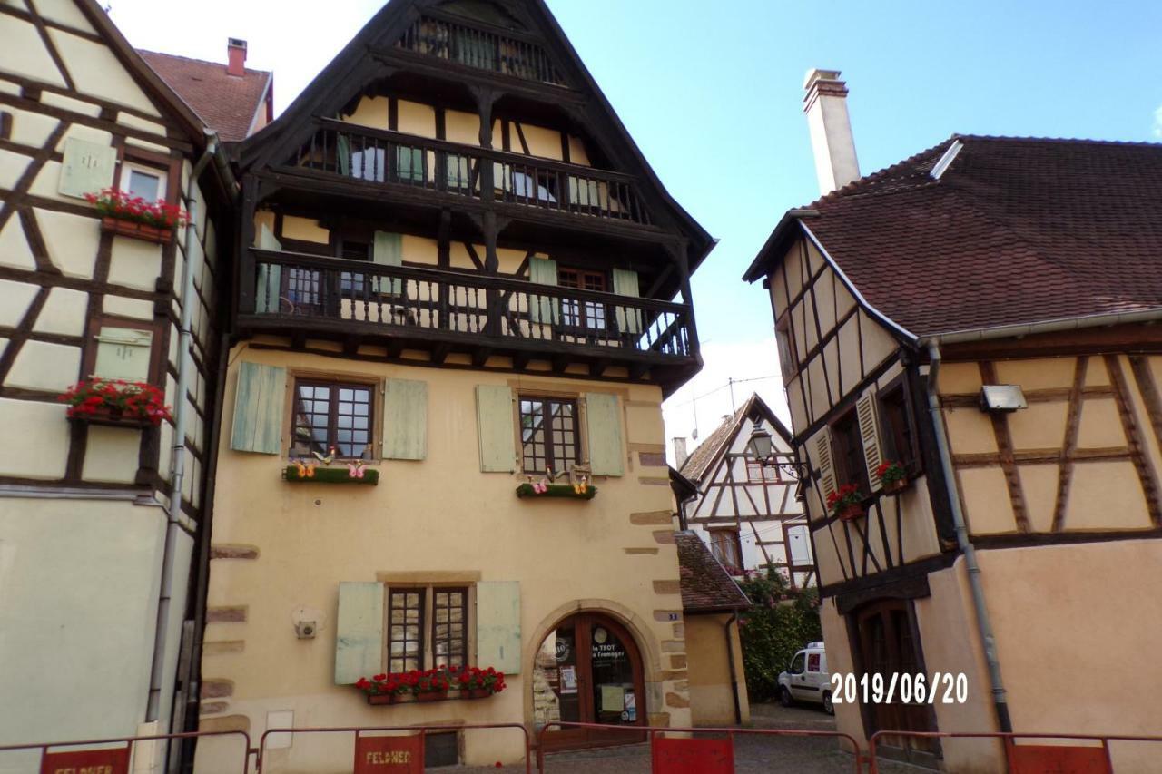 אגויסהיים Duplex Saint Lustre, View Over Castle And Storks, 5 Mn From Colmar מראה חיצוני תמונה