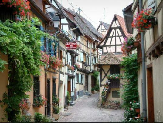 אגויסהיים Duplex Saint Lustre, View Over Castle And Storks, 5 Mn From Colmar מראה חיצוני תמונה